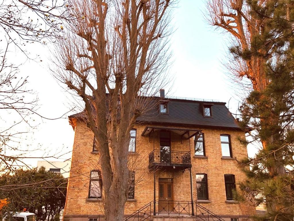 StutzheimDomaine Sequoiaアパートメント エクステリア 写真